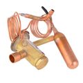 Product Image of 100481-17 Valve-Txv W/Ck (R410A), 50W82