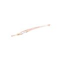 Product Image of R100579-62 Distributor Assy W/Piston, 75W99