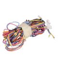 Product Image of 603612-01 Harness-Wiring Main, 86W69