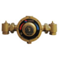 Product Image of 1-1/4" NPT LV-983-LF Eco-Mix Thermostatic Master Mixer (5 to 126 GPM)