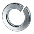 Product Image of 1/2" Lock Washer (Pack of 100)