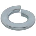 Product Image of 1/4" Lock Washer (Pack of 100)