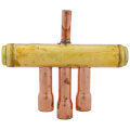 Product Image of Reversing Valve w/ Coil, M0079102