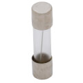 Product Image of Replacement Fuses (5/pkg) - 2.5 A 250V (ac)