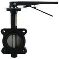 Product Image of 3" 88IHH61 Lug Ductile Iron Butterfly Valve, EPDM, Lever Handle (200 PSI)