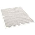 Product Image of Air Filter, 3005939