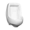 Product Image of Adam HE Urinal