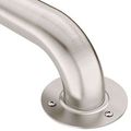 Product Image of Stainless 42" Exposed Screw Grab Bar, R7442
