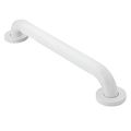 Product Image of Glacier 18" Concealed Screw Grab Bar, R8718w
