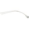 Product Image of 110V Clear Round Lens Indicating Light w/ Wire Leads, 104118