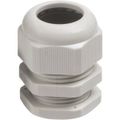 Product Image of 0.079-0.236" Liquidtight Straight Cord Grip, CANTOP-S221