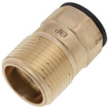 Product Image of 3/4" CTS x 1" NPT ProLock Brass Male Adapter