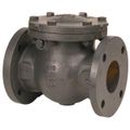 Product Image of 2-1/2" Cast Iron Flanged Swing Check Valve, Class 125