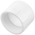 Product Image of 1-1/2" PVC DWV Female Adapter