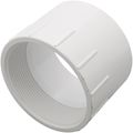 Product Image of 4" PVC DWV Female Adapter