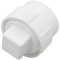 Product Image of 1-1/2" PVC DWV Fitting Cleanout Adapter w/ Plug
