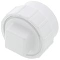 Product Image of 2" PVC DWV Fitting Cleanout Adapter w/ Plug
