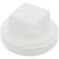 Product Image of 2" PVC DWV Cleanout Plug