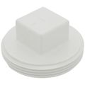 Product Image of 3" PVC DWV Cleanout Plug