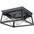 Product Image of Briarwood 2 Light Textured and Cerused Black Farmhouse Style Flush Mount Ceiling Light