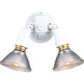 Product Image of 2 Light Adjustable Swivel Flood Light