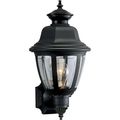 Product Image of Non-Metallic Incandescent 1 Light Wall Lantern