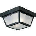 Product Image of 2 Light 10-1/4" Flush Mount for Indoor/Outdoor use