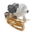Product Image of Condensate Pump, 141957J
