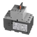 Product Image of RMSP-32H, Motor Protector, 300040112
