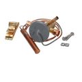 Product Image of Thermal Expansion Valve, ANE-1/2-HC/Use 29341802, 29347601