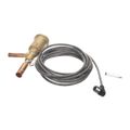 Product Image of Thermal Expansion Valve, 29390101