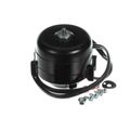 Product Image of SP-B25SE2 Motor, 230V 60Hz, 21S071