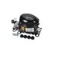 Product Image of R290 Compressor, 115V 0.25HP, 3024061