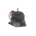 Product Image of Motor, 39W 120-230V 60Hz 1PH, 3047950
