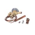 Product Image of EGJE-1/2-C Expansion Valve, 3/8" x 1/2", E205915
