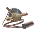 Product Image of R410 Thermal Expansion Valve, 100679-32