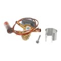 Product Image of Valve-Expansion 94+2PSIG, 100679-38