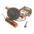 Product Image of Thermal Expansion Valve R-410A, 100935-02