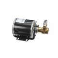 Product Image of Pump/Motor Assembly, 120V, 70Gph, 00214102