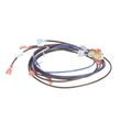 Product Image of Wire Harness, Power Relay Mod, 120V, 2185679