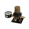 Product Image of Regulator Co2 Single Secondary, T5261SN