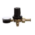Product Image of Regulator Co2 Tank Mount Prima, T5741PMHPBK