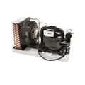 Product Image of Condensing Unit, 1/3 HP High R134A 115V, RF-CON1414