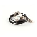 Product Image of Thermistor, 12-2556-21