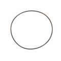 Product Image of O-Ring, 13-0617-49