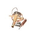 Product Image of Thermostatic Expansion Valve, RFGB08-0.35-696, 325-60080-117