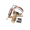 Product Image of TXV AA1/5HW45 R290/MT I-1/4 O-3/8, 325-60080-43