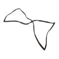 Product Image of Gasket, 53.375X26X0.5625, P0123A0700