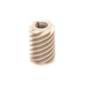 Product Image of Worm Gear (12A, 12M), S330106
