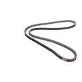Product Image of Multi Cogged Drive Belt, AX53, S1-AX53